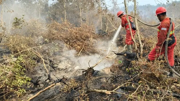 KOMNAS HAM SOROTI DAMPAK KEBAKARAN HUTAN DAN LAHAN YANG GANGGU KESEHATAN MASYARAKAT SERTA PAKSA SEKOLAH TERAPKAN PJJ